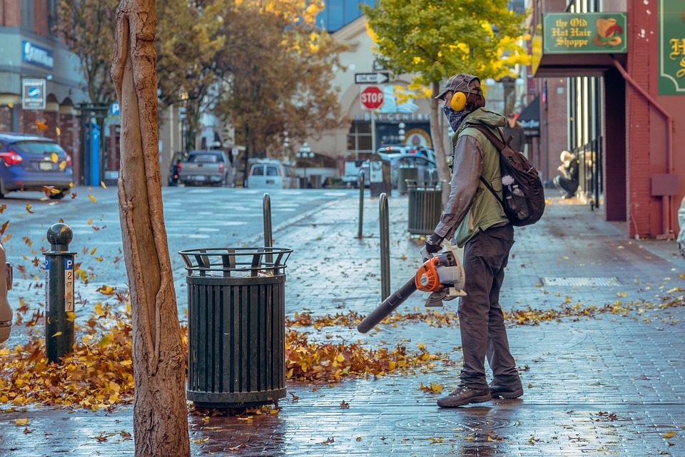 aspirateur souffleur